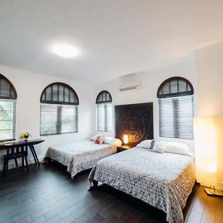 Vive Zen 2 Queen Beds